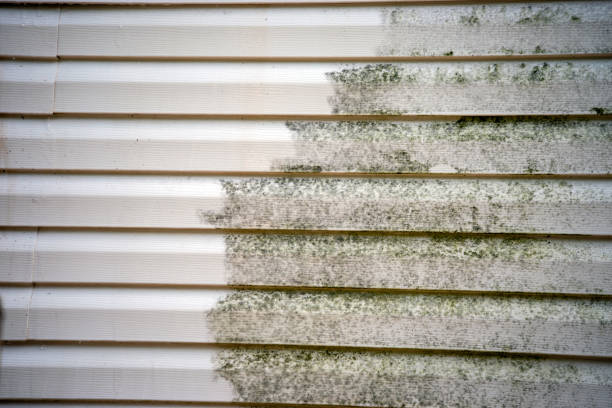 Affordable Siding Repair and Maintenance Services in Kilgore, TX